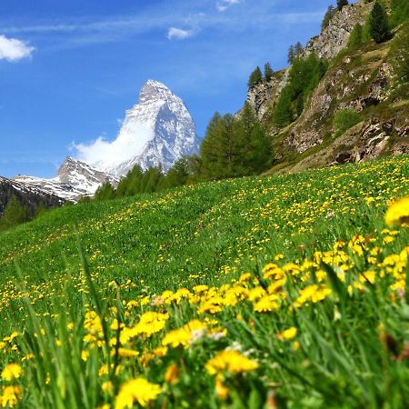 Apartment Apollo By Interhome Zermatt Esterno foto