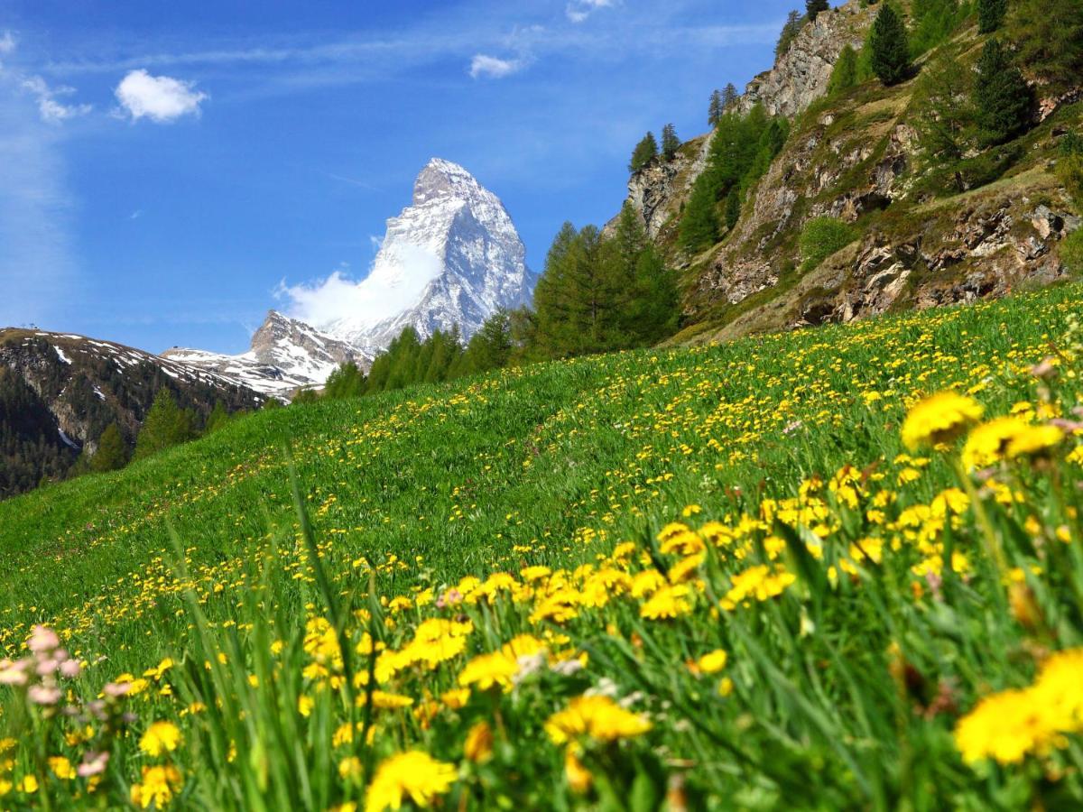 Apartment Apollo By Interhome Zermatt Esterno foto